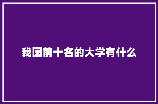 我国前十名的大学有什么 工作总结