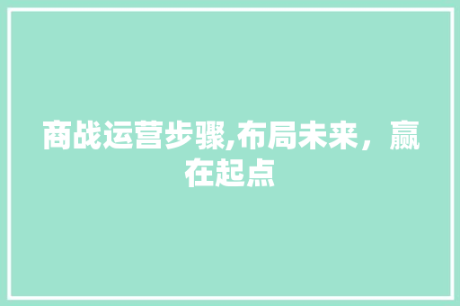 商战运营步骤,布局未来，赢在起点