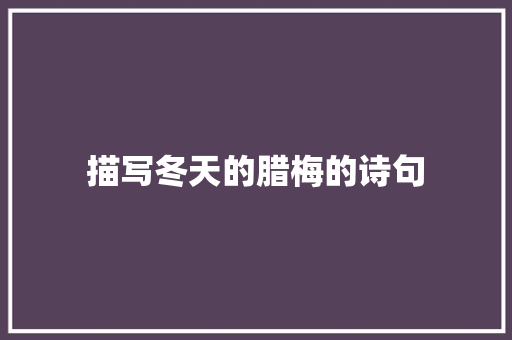 描写冬天的腊梅的诗句