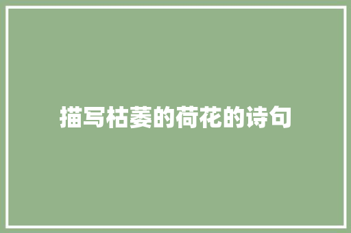 描写枯萎的荷花的诗句