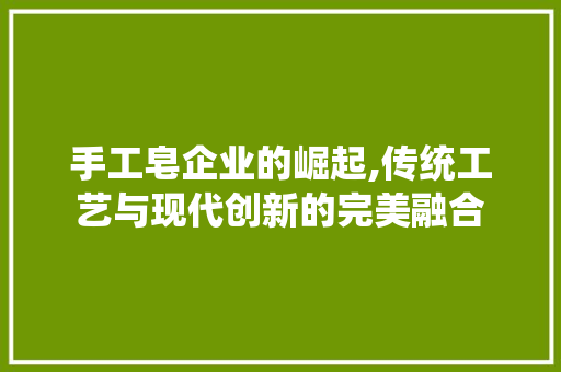 手工皂企业的崛起,传统工艺与现代创新的完美融合