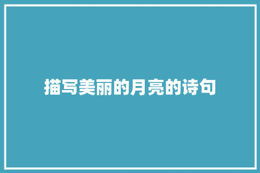 描写美丽的月亮的诗句