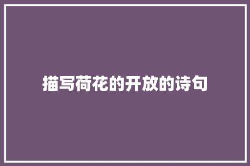 描写荷花的开放的诗句