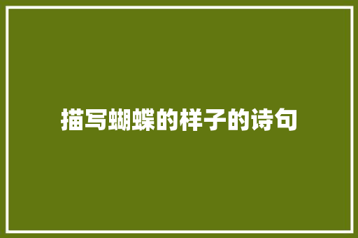 描写蝴蝶的样子的诗句