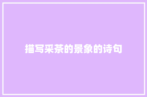 描写采茶的景象的诗句