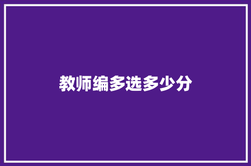 教师编多选多少分