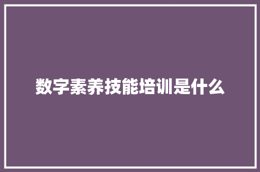 数字素养技能培训是什么
