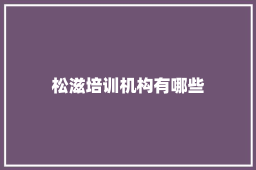 松滋培训机构有哪些