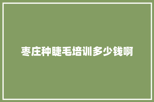 枣庄种睫毛培训多少钱啊