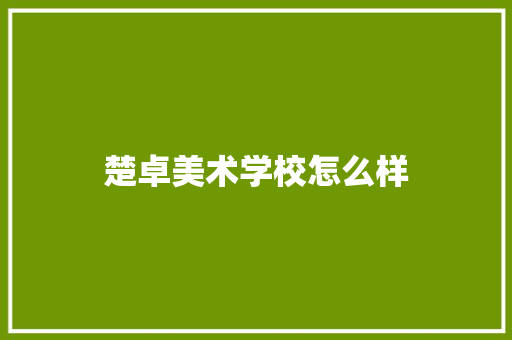 楚卓美术学校怎么样
