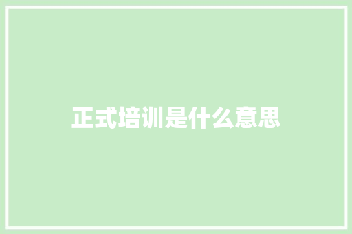 正式培训是什么意思