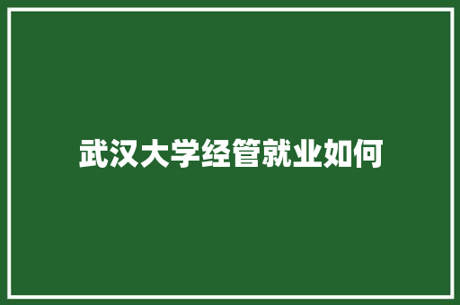 武汉大学经管就业如何
