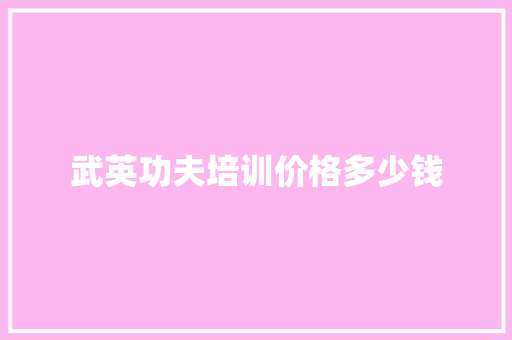 武英功夫培训价格多少钱