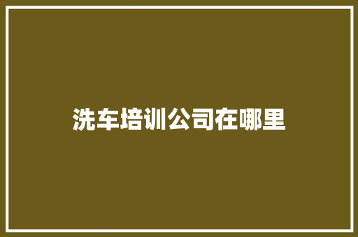 洗车培训公司在哪里