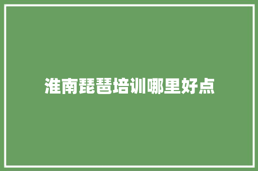 淮南琵琶培训哪里好点