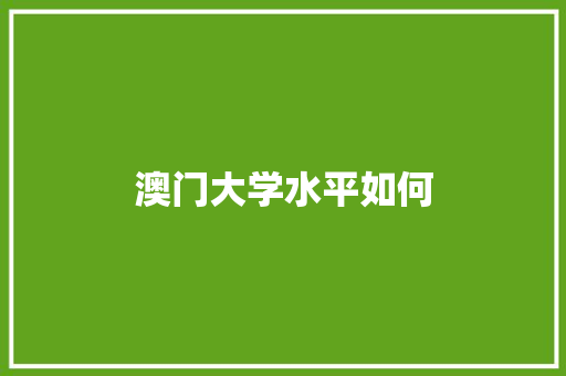 澳门大学水平如何