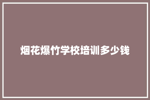 烟花爆竹学校培训多少钱