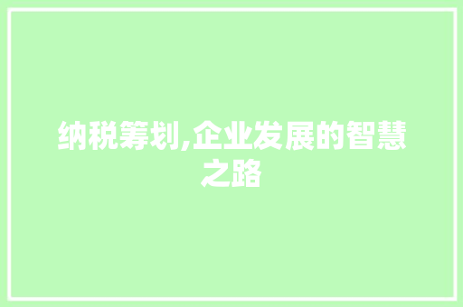 纳税筹划,企业发展的智慧之路