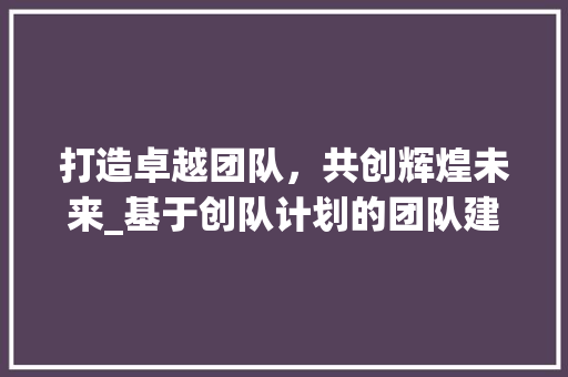 打造卓越团队，共创辉煌未来_基于创队计划的团队建设探索