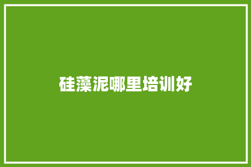 硅藻泥哪里培训好