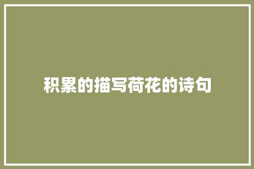 积累的描写荷花的诗句