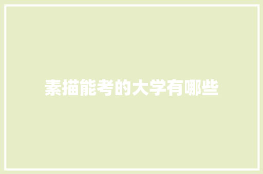 素描能考的大学有哪些