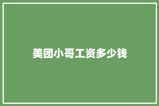 美团小哥工资多少钱