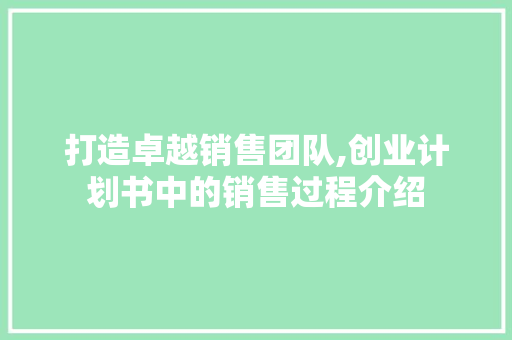 打造卓越销售团队,创业计划书中的销售过程介绍