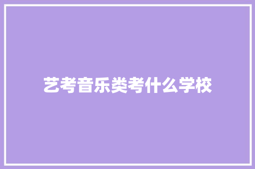 艺考音乐类考什么学校