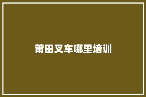 莆田叉车哪里培训