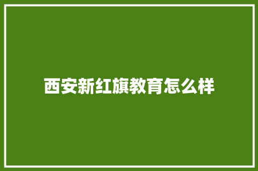西安新红旗教育怎么样