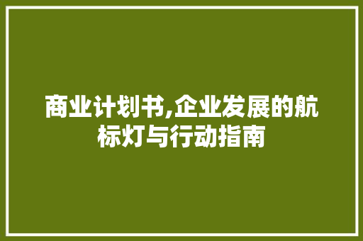 商业计划书,企业发展的航标灯与行动指南