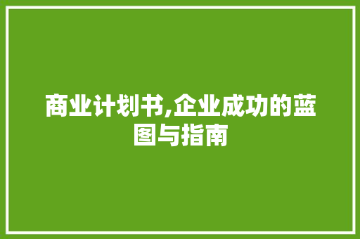 商业计划书,企业成功的蓝图与指南