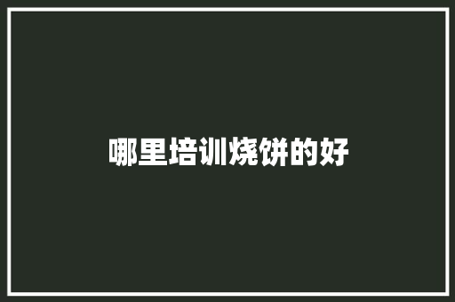 哪里培训烧饼的好 工作计划