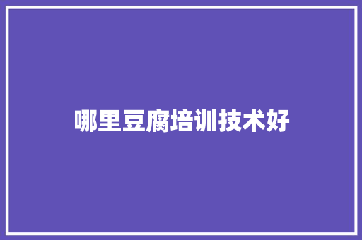 哪里豆腐培训技术好