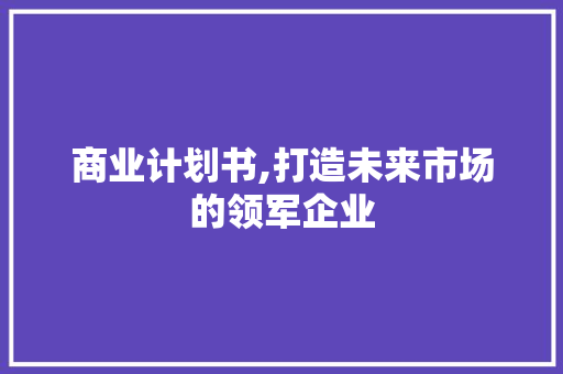 商业计划书,打造未来市场的领军企业