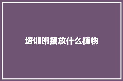 培训班摆放什么植物