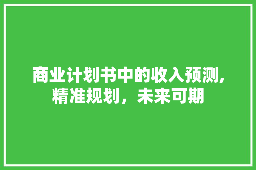 商业计划书中的收入预测,精准规划，未来可期