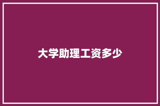 大学助理工资多少