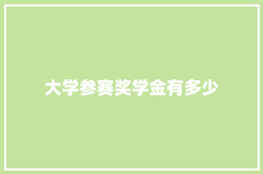 大学参赛奖学金有多少