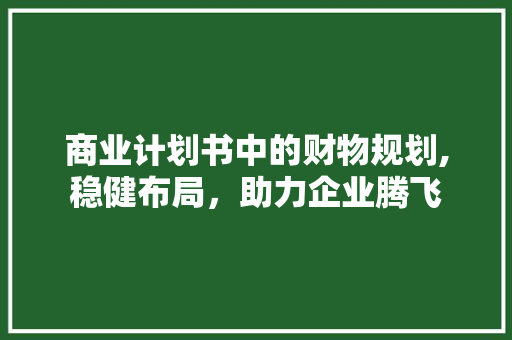 商业计划书中的财物规划,稳健布局，助力企业腾飞