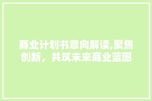 商业计划书意向解读,聚焦创新，共筑未来商业蓝图