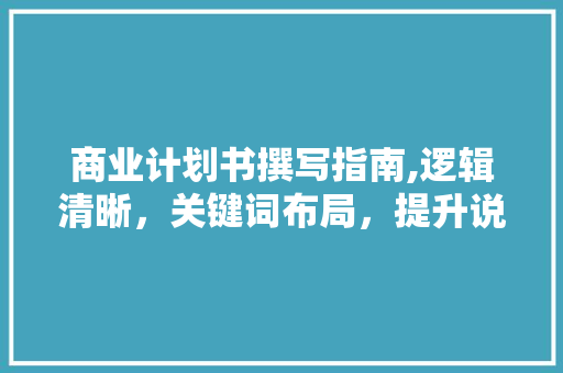 商业计划书撰写指南,逻辑清晰，关键词布局，提升说服力