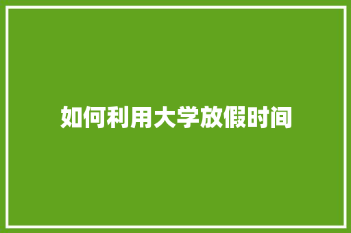 如何利用大学放假时间