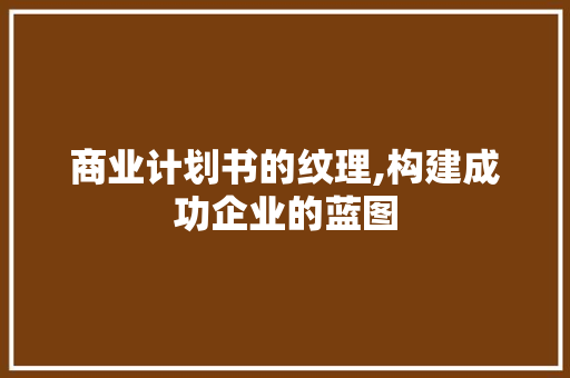 商业计划书的纹理,构建成功企业的蓝图