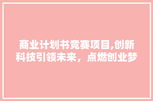 商业计划书竞赛项目,创新科技引领未来，点燃创业梦想之火