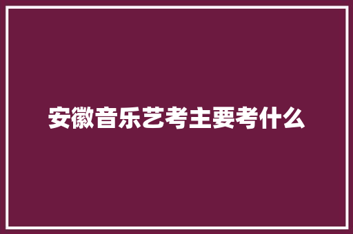 安徽音乐艺考主要考什么