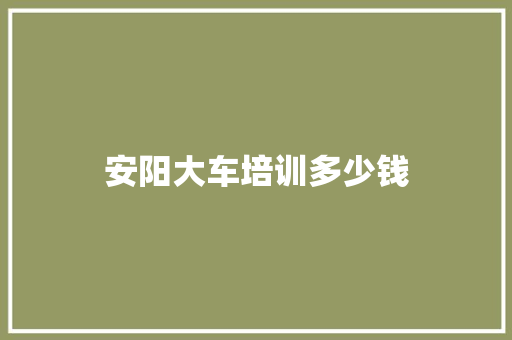 安阳大车培训多少钱