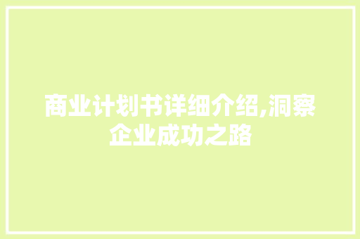 商业计划书详细介绍,洞察企业成功之路