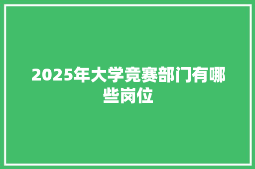 2025年大学竞赛部门有哪些岗位 工作总结